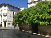 Dr Edouard Chasseuil