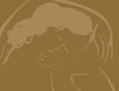 Centre Esthétique La Réserve