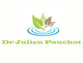 Dr Julien Pauchot