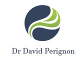 Dr David Perignon