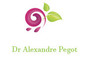 Dr Alexandre Pegot
