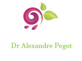 Dr Alexandre Pegot