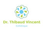 Dr Thibaud Vincent