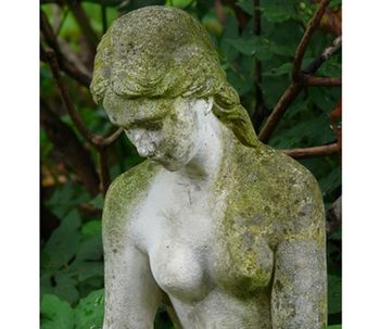 Corriger une ptose mammaire
