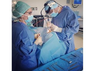 Dr Romain Tourniaire