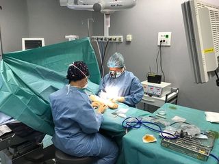Dr Virginie Berard