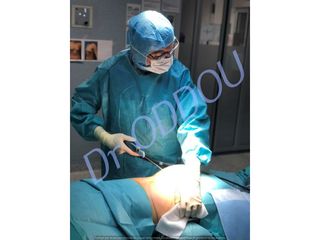 Dr Laurent Oddou