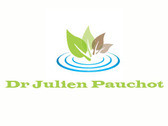 Dr Julien Pauchot