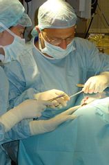 Dr Braccini Frédéric