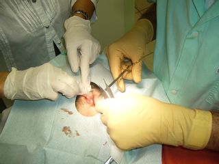 Dr Samson Olivier