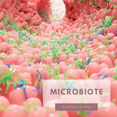 microbiote medecine fonctionnelle nutritionnelle docteur antoninLeclercq Nice Beaulieu