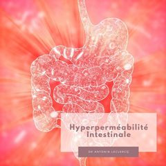 hyperpermeabilite intestinale medecine fonctionnelle nutritionnelle docteur antoninLeclercq Nice Bea