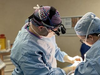 Docteur Gerbault Rhinoplastie Chirurgie