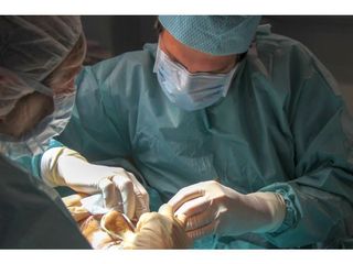 Docteur Farès BELHASSEN