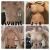 Augmentation mammaire 265cc