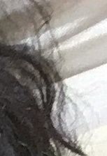 2045