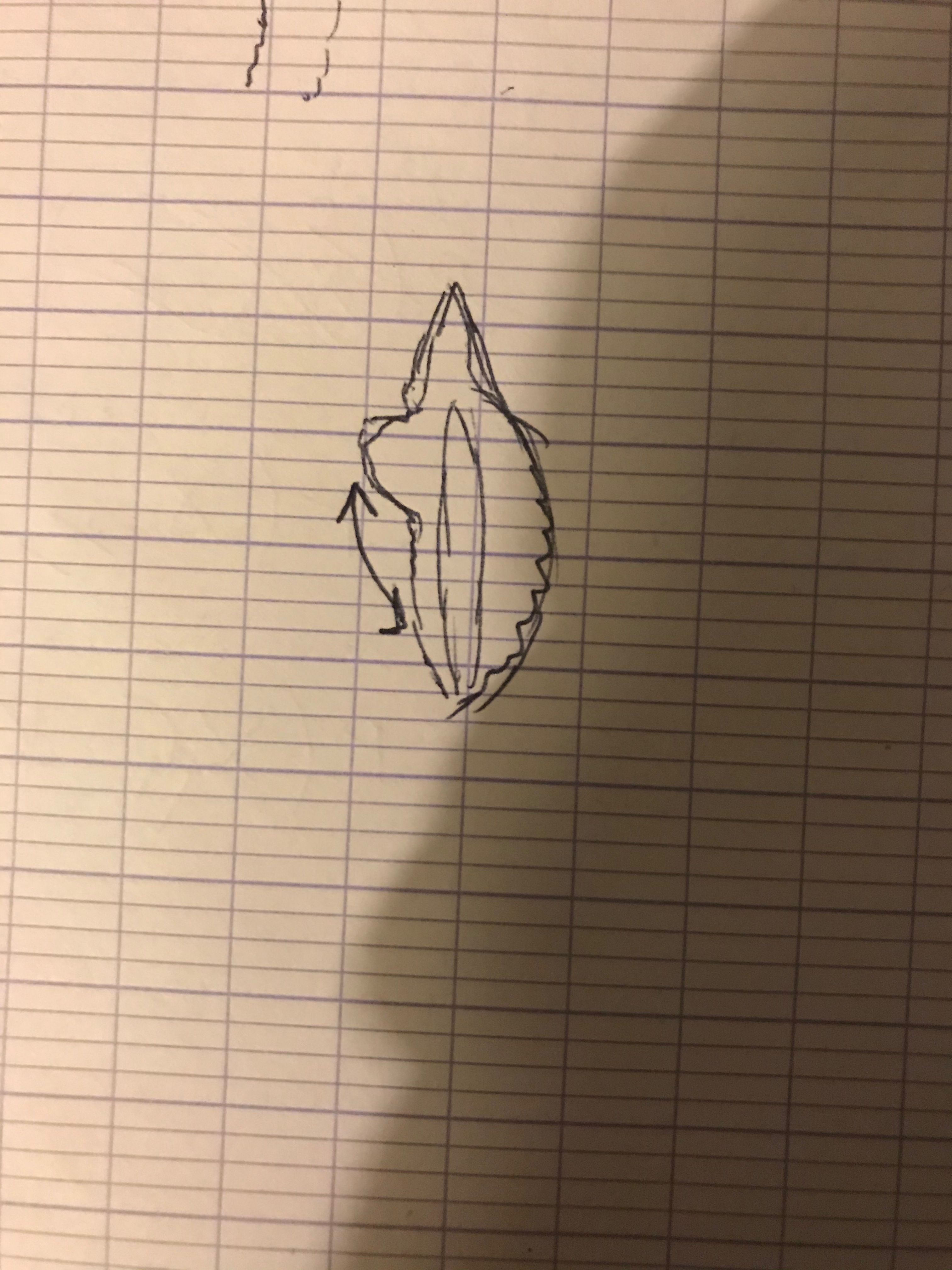 13695