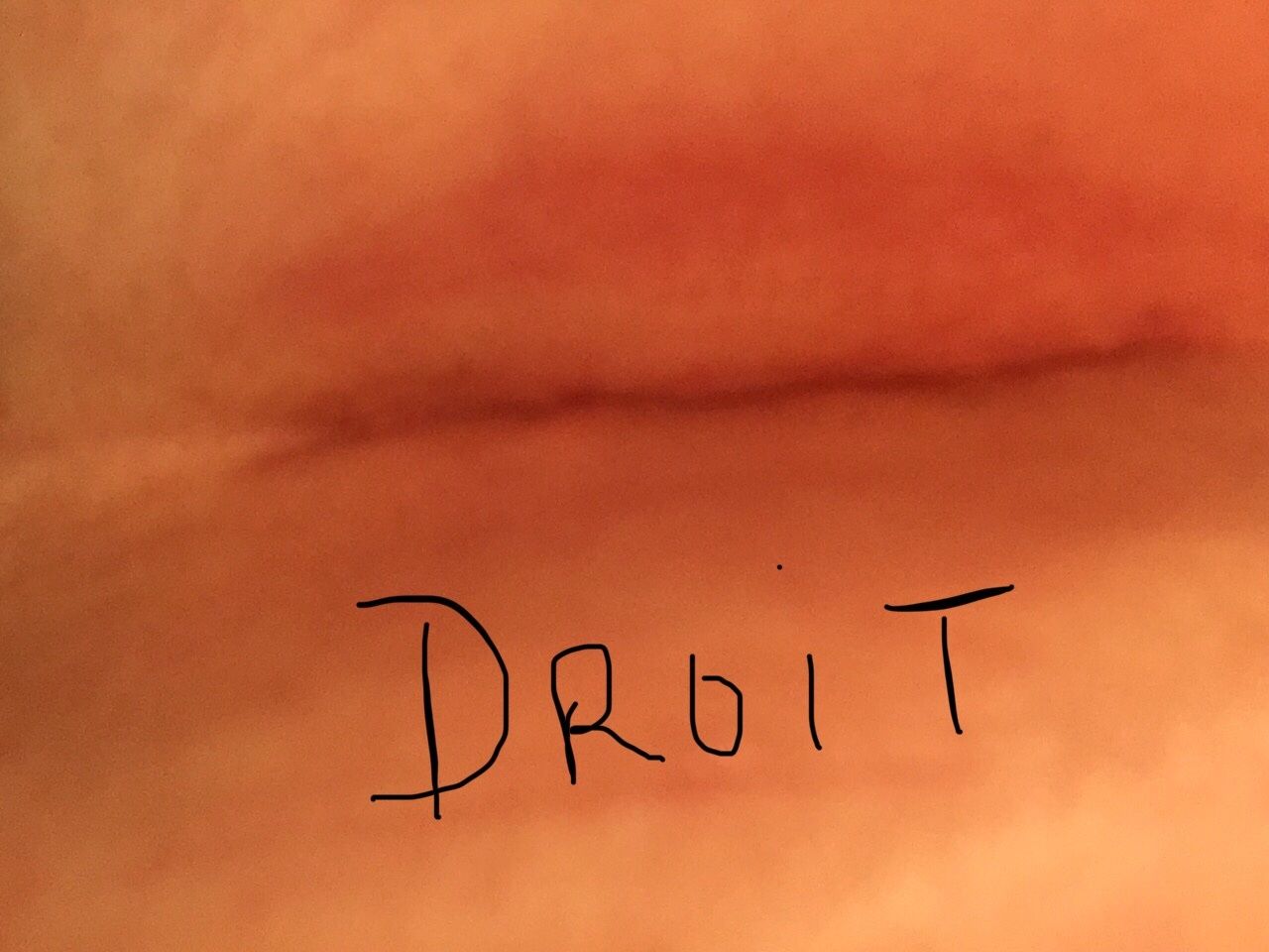 23605