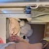 Abdominoplastie : bas du ventre gonflé 7 mois après