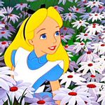 sophiej