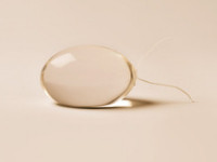 Implants testiculaires Sebbin