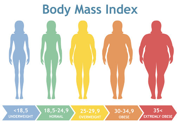 Indice de masse corporelle 